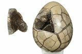 Polished Septarian Dragon Egg Geode - Black Crystals #191396-3